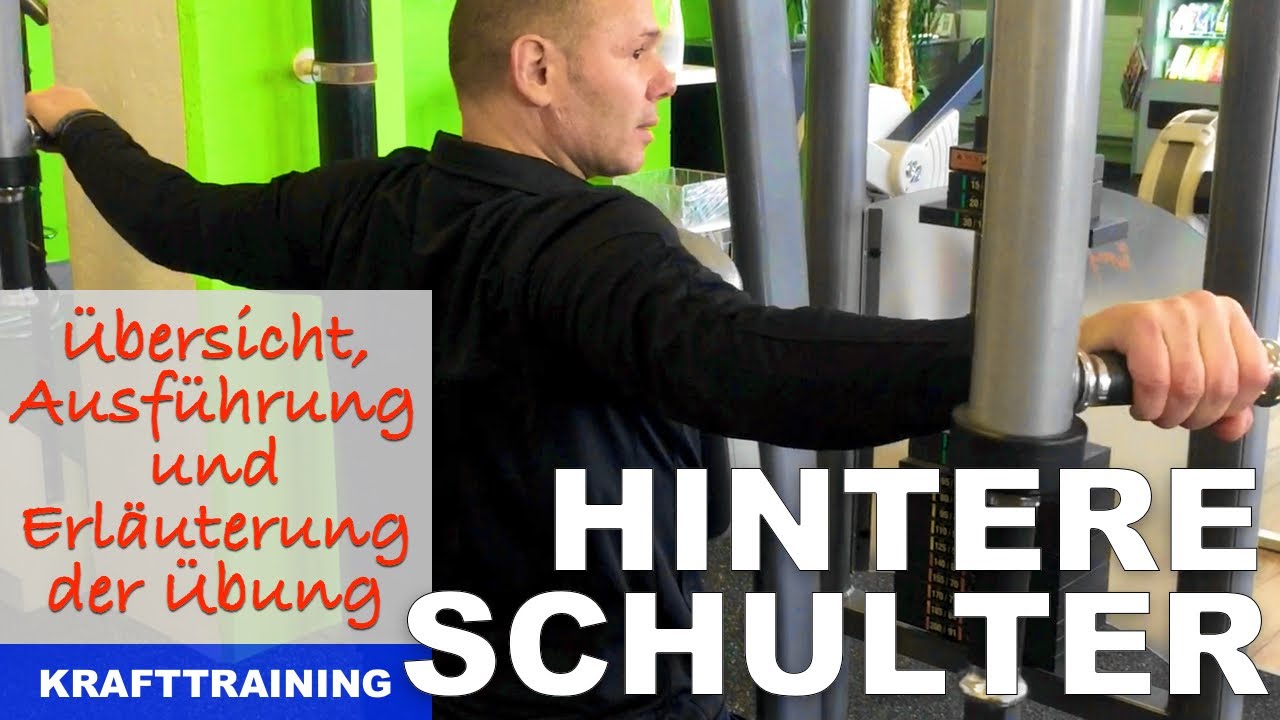 Hintere Schulter