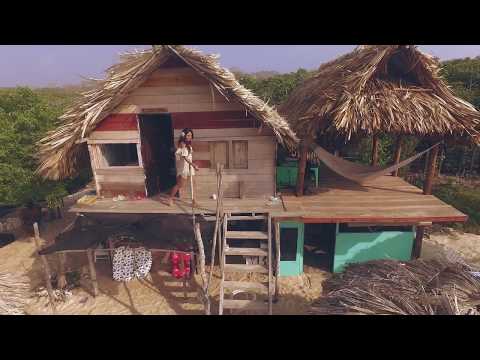 Dante Damage - Toda [Vídeo Oficial]