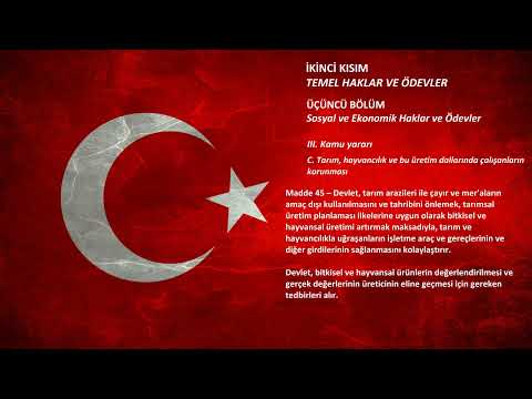 Anayasa - İkinci Kısım - Madde 45
