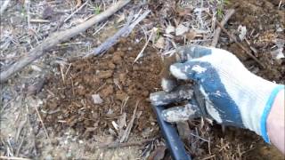 Metal Detecting an Old Kennel in Calimesa CA