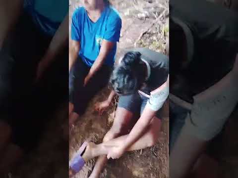 Índios Guarani-Caiouá da retomada Kurussu-Ambá sofrem com violência e descaso do MPI e Funai no MS