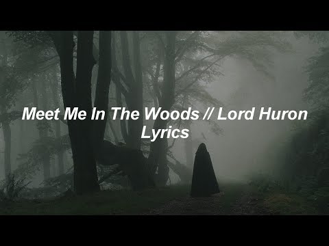 Meet Me In The Woods // Lord Huron // Lyrics