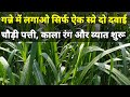 गन्ने में लगाओ ऐक स्प्रे में दो दवाई ऐ�