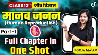 मानव जनन Class 12 | PART -1 | Human Reproduction in Hindi | One Shot Revison | जीव विज्ञान Chapter 3