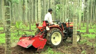 Inter Cultivation  with Rotary