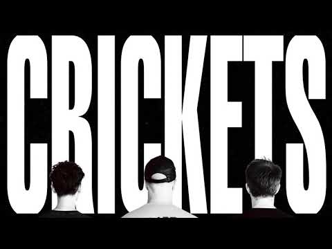 CRICKETS - Elastic (808 BEACH Dangerous Power Mix)