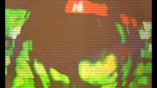 Zoon van snooK 'The Gloaming' (Diego Chavez Remix)