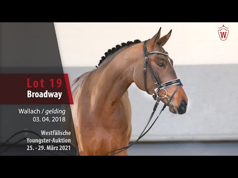 Westf. Youngster-Auktion 25.- 29. März 2021 Lot 19 Broadway Wallach v. Benicio - Dante Weltino
