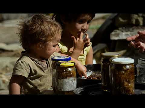 BAL ÜLKESİ / HONEYLAND (fragman) - 31 Ocak'ta #BaşkaSinema'da!