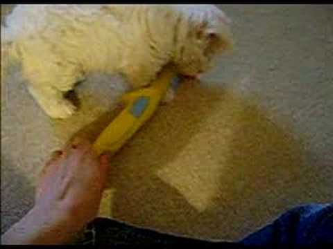 Charline..trop chou!