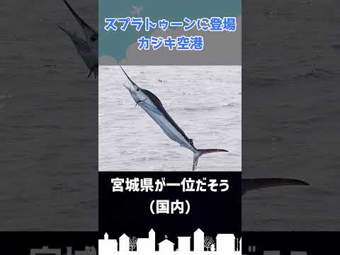 ハオ飛行場について詳しく解説