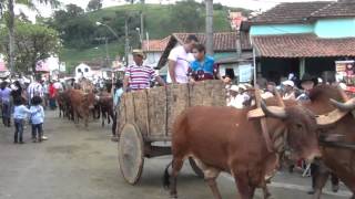 preview picture of video 'Desfile de carros de boi de Ipuiuna 2014'