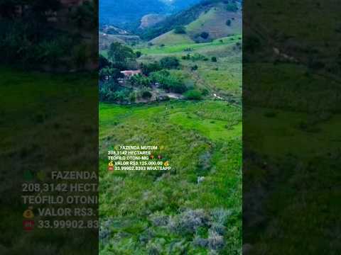 🌲🌵 FAZENDA MUTUM 🌾🌴208,3142 HECTARES TEÓFILO OTONI-MG 📍 📍 💰 VALOR R$3.125.000.00 💰☎️ 33.99902.8393