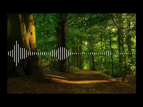 Paul Woolford, Amber Mark - HEAT