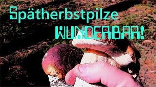 preview picture of video 'Spätherbstpilze wunderbar! (HD)'