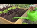 plantenlabel 10cm 25 stuks + potlood | video 1