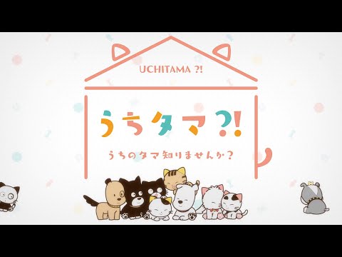 うちタマ?! 〜うちのタマ知りませんか？〜 フレンズ wacci