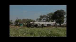 preview picture of video '22 Months of Organic Farming in My New Farm_Subhash Sharma part 1 of 2'