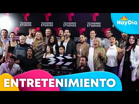 Conoce al elenco estelar de 'Lobo: Morir Matando', la nueva serie de Telemundo | Hoy Día | Telemundo