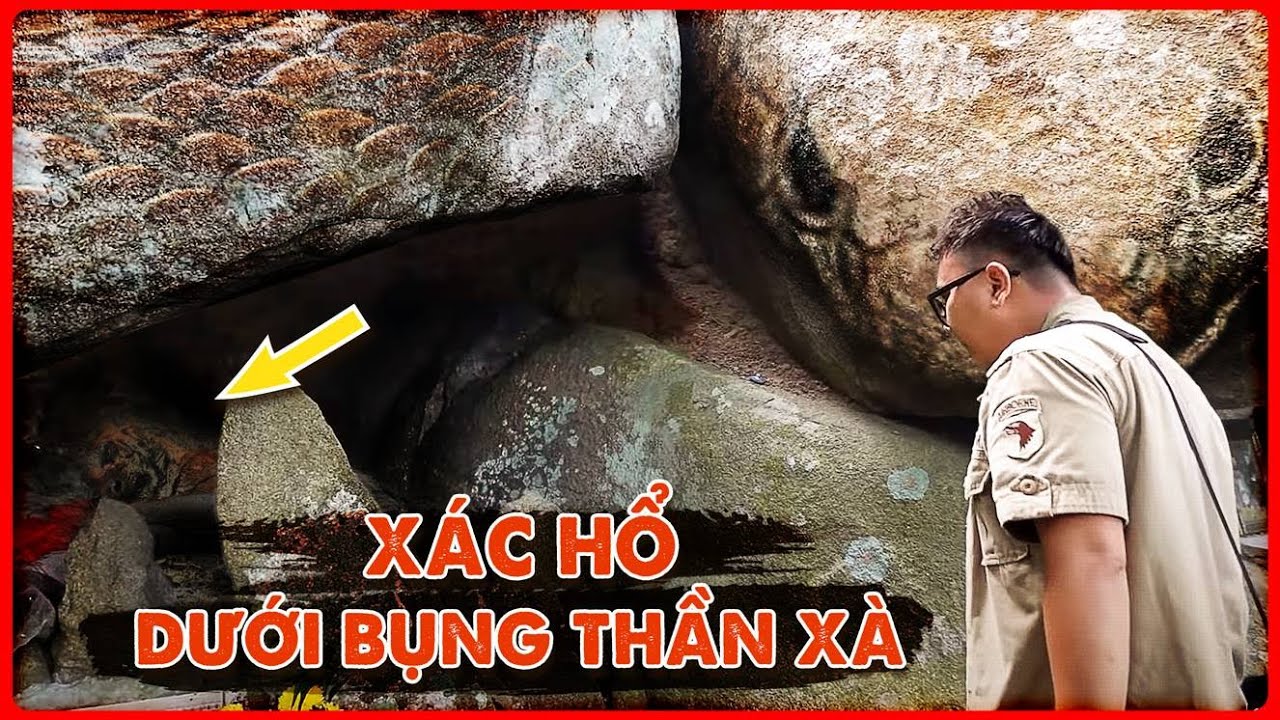 Phát hiện Mộ Ông Hổ chôn dưới Bụng Thần Xà Khổng Lồ ở rừng thiêng