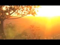Long Relaxing Music Sleep And Anti Stress Music Relaxing Song 3gp