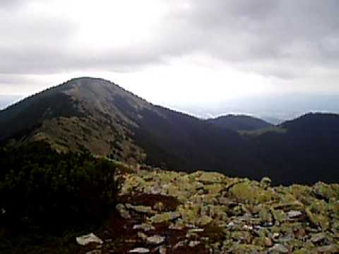 Panorama of Carpathian mountains