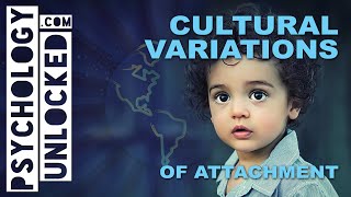 Does nationality affect relationships? Cultural Variations of Attachment - Psychology Revision Video