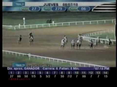 Resumen 8 de Julio 2010 - Santa Rita