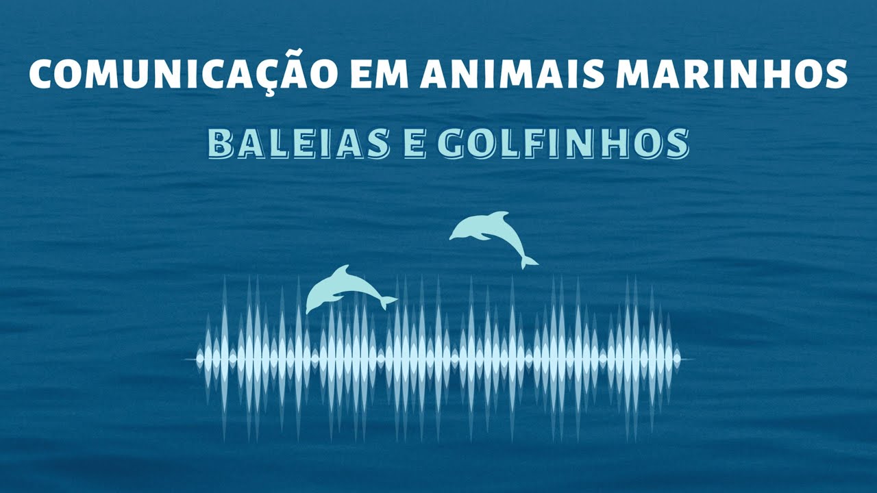 Comunicação em animais marinhos (cetáceos)
