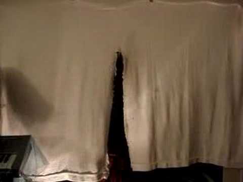 Papa Duck in the Studio