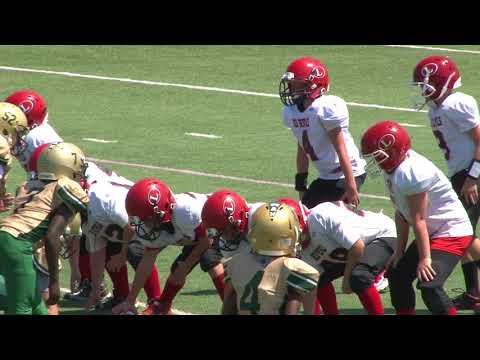 8.19.17 Loganville AS vs. Grayson AS (Williams) - 9 Year Olds - Bay Creek Park @ 12 pm