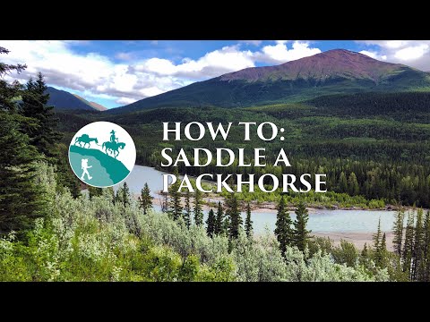 How to saddle a pack-horse: The saddle & the horse