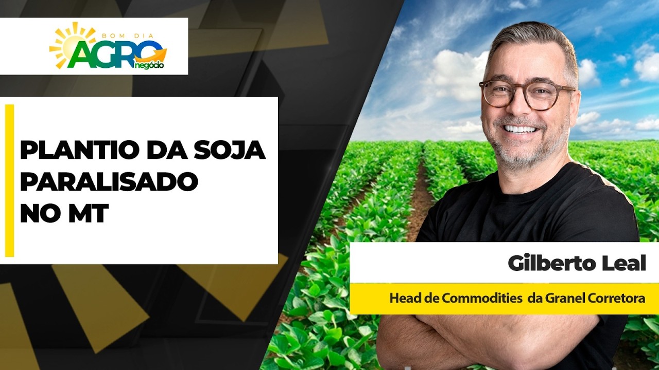 Plantio da soja está paralisado no MT com falta de chuvas e calor intenso; mercado também trava