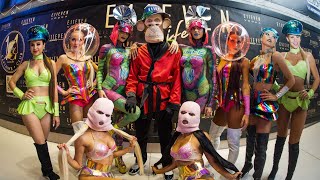 11APE x Vikina at E11EVEN