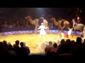 Big Apple Circus Nov 2014 017