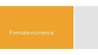 Formate Numerice