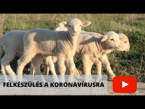 , title : 'Koronavírus és a juhágazat - Épülő villanypásztor, beraktározott takarmány, eladhatatlan bárányok'