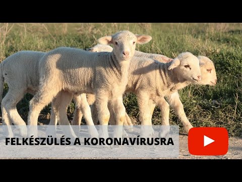 kenőcs juh ízületekhez ízületi ortrózis készítmények