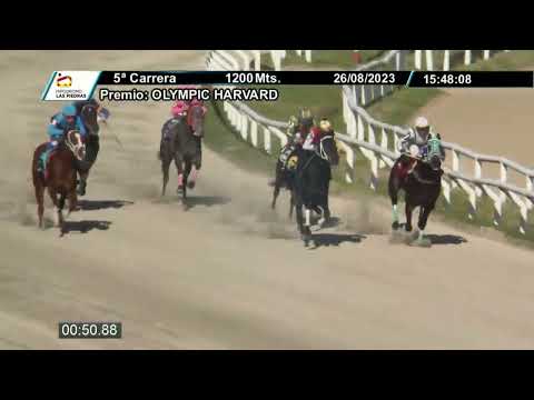 230826 c05 - REGAL FORTUNE (BRZ) - HIPODROMO LAS PIEDRAS