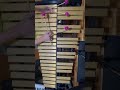 Crosscurrents - Lennie Tristano on Vibraphone, played by Brendan Foster #jazz #jazzvibes #vibraphone