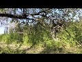 Paltinoasa 17 09 2017
