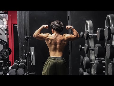 Wider by the day—Bulk day 11