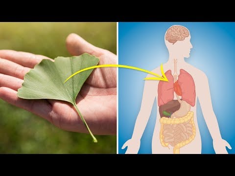 Geräte für die Behandlung von Prostatitis maestro Performance-Analyse von Prostata-Saft