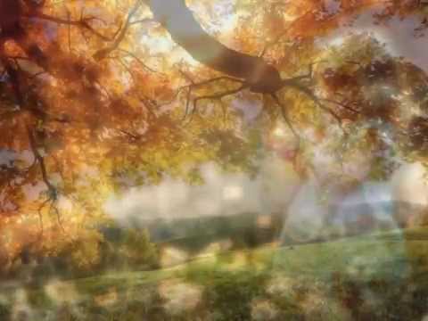 Sónhos De Deus - Rayssa & Ravel