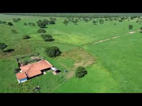 FAZENDA A VENDA EM JOÃO PINHEIRO-MG - 184 HECTARES