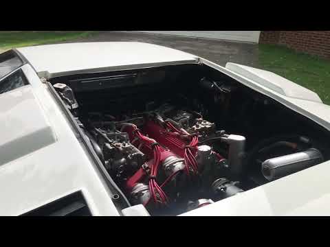 Lamborghini Countach Reaction