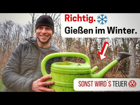 , title : 'Richtig GIEßEN im Winter: 3 wichtige Regeln 🤫'