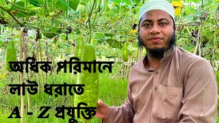 লাউ চাষ পদ্ধতি