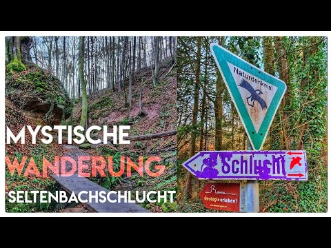 Auf der Suche nach dem Paradies Folge 8 | Die Seltenbachschlucht | Hiking 4K