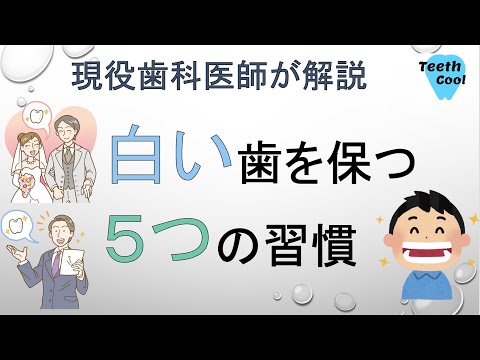 白い歯について詳しく解説